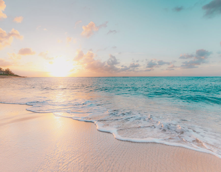 Discover Hotel Freesia